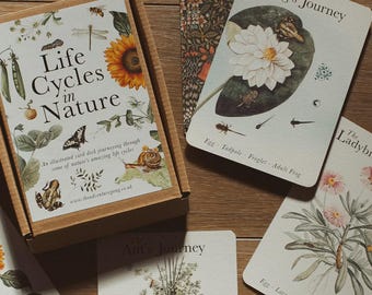 Life Cycles of Nature A6 Card Pack