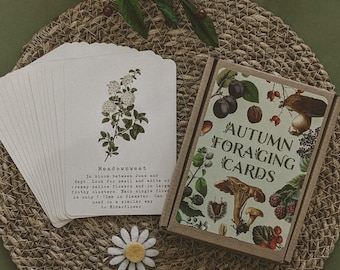 Autumn Foraging A6 Card Pack