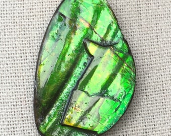 Ammolite Pendant - Multi-Layer Green Gem