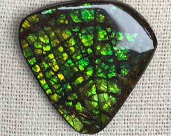 Ammolite Pendant