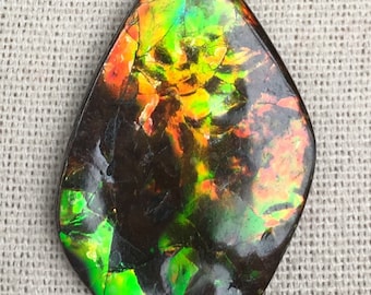 Ammolite Pendant