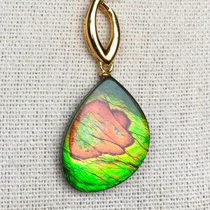 Ammolite Pendant - Green and Orange Gem with Interesting Pattern!  Please Read Description