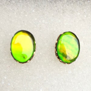 Ammolite Stud Earrings - Gold Filled Settings