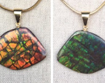 Ammolite Pendant - Imperial RARE Double Sided Gem!  Please Read Description