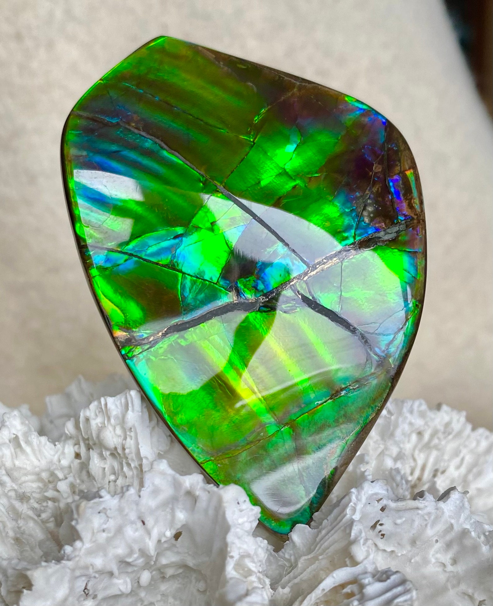Ammolite Hand Specimen - Gem Quality! Glorious Green and Blue! Hand ...