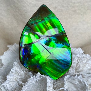 Ammolite Hand Specimen - Gem Quality!  Glorious Green and Blue!  Hand Polished!  Bit of Iron Pyrite! Please Read Description