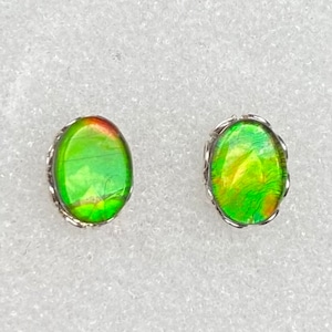 Ammolite Stud Earrings - Green Gems - Please Read Description