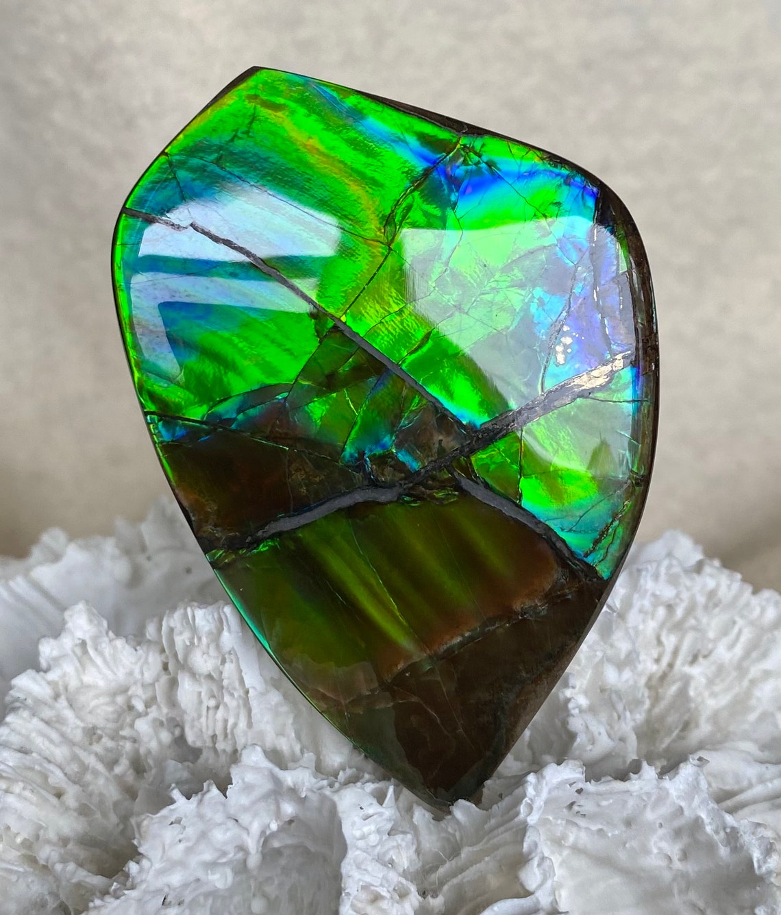 Ammolite Hand Specimen - Gem Quality! Glorious Green and Blue! Hand ...