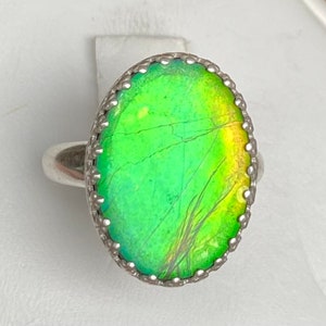 Ammolite Ring - Green with Golden Overtones - Size 7 - MUST Read Description