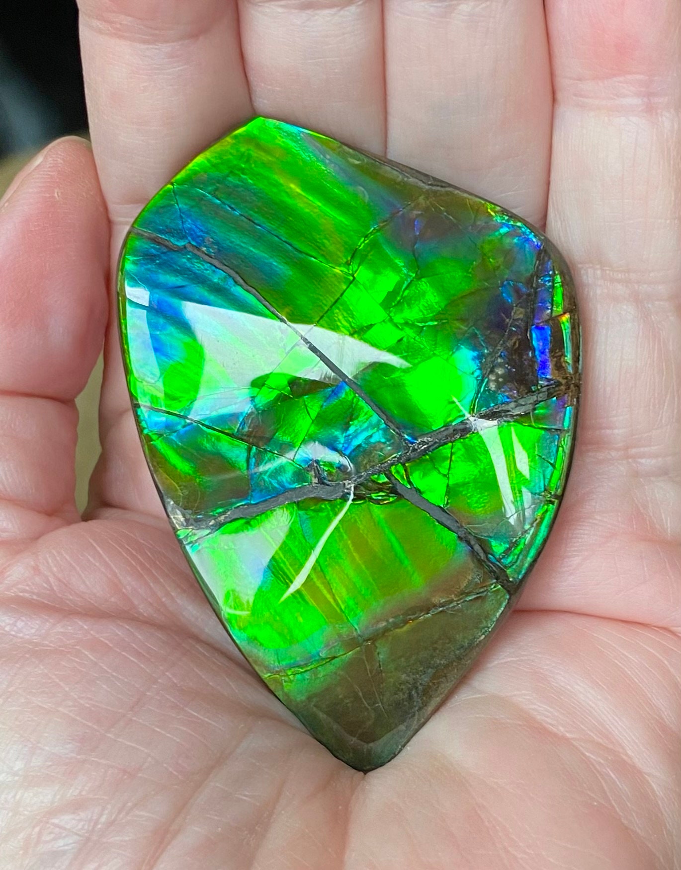 Ammolite Hand Specimen - Gem Quality! Glorious Green and Blue! Hand ...