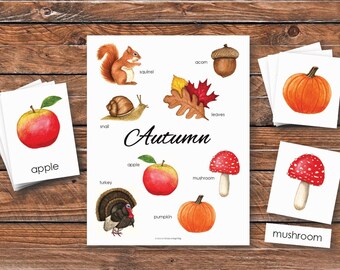 Autumn Mini Poster & Cards | Homeschool Printable | 3-Part Cards | Fall