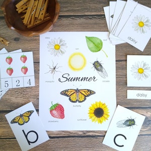 Summer Early Learning Bundle | Homeschool Printable