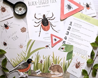 Tick Nature Study | Science | Homeschool Printable