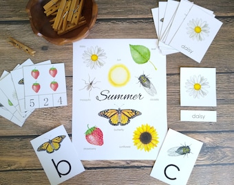 Summer Early Learning Bundle | Homeschool Printable