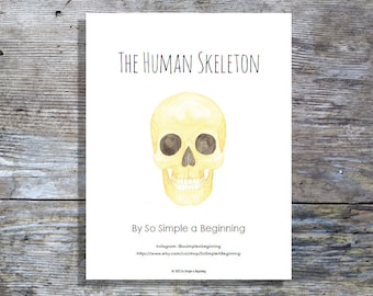 The Human Skeleton | Science | Homeschool Printable