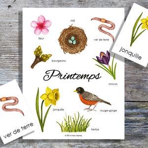 Mini affiches et cartes du printemps français | École à la maison imprimable | Langue | Cartes en 3 parties