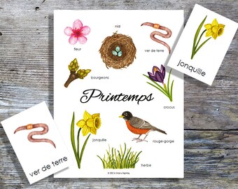 French Spring Mini Poster & Cards | Homeschool Printable | Language | 3-Part Cards
