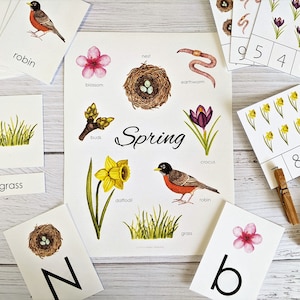 Pode incluir: Um conjunto de flashcards com tema primaveril com ilustrações de um pardal, um ninho, uma flor, botões, um narciso, um açafrão, grama e uma minhoca. Os cartões também incluem as palavras 'pardal', 'ninho', 'flor', 'botões', 'narciso', 'açafrão', 'grama' e 'minhoca'.