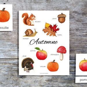 French Autumn Mini Poster and Cards | Homeschool Printable | 3-Part Cards