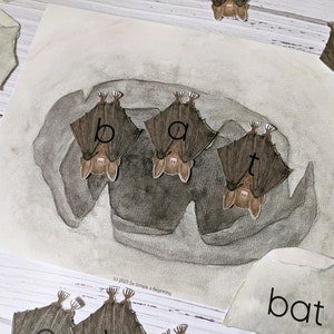 Spelling Bats | Language Arts | Homeschool Printable