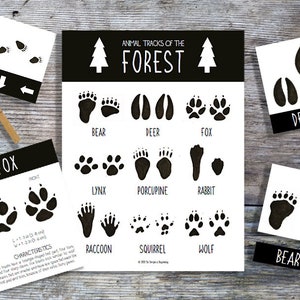 Forest Animal Tracks | Homeschool Printable | Nature Study