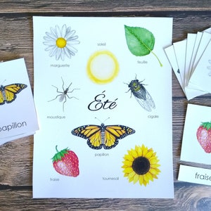 Franse zomerminiposter en -kaarten | Afdrukbaar thuisonderwijs | 3-delige kaarten