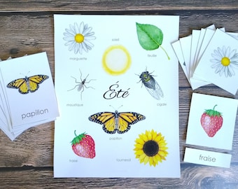 French Summer Mini Poster and Cards | Homeschool Printable | 3-Part Cards