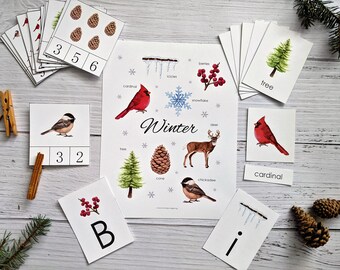 Winter Early Learning Bundle | Homeschool Printable | 3-Part Cards | Early Writing | Math