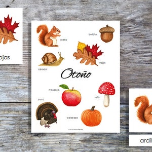 Mini póster y tarjetas de otoño en español / Imprimible para educación en casa / Tarjetas de 3 partes