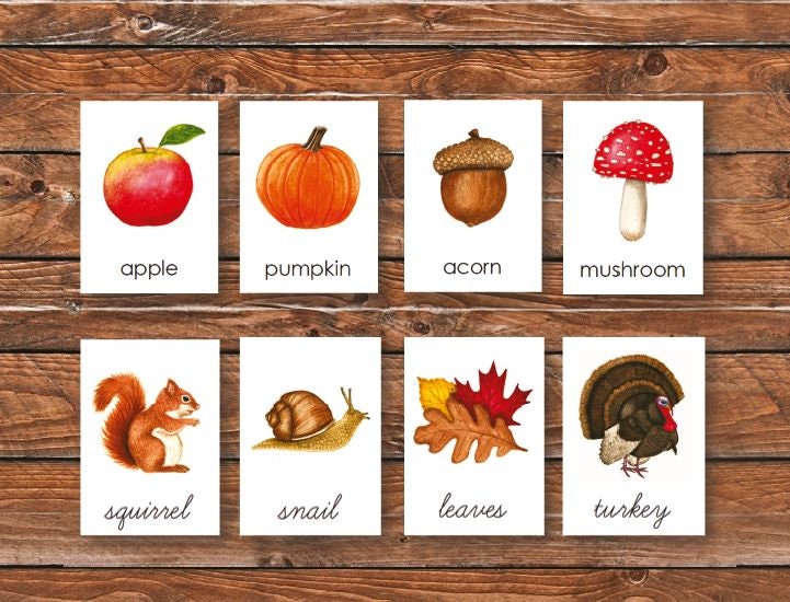 Autumn Mini Poster & Cards | Homeschool Printable | 3-part Cards | Fall ...