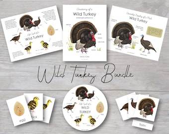Wild Turkey Bundle | Homeschool Printable | Nature Study