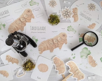 Tardigrade Nature Study | Homeschool Printable | Science