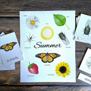 Summer Mini Poster and Cards | Homeschool Printable | 3-Part Cards