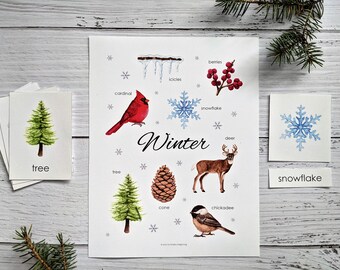 Winter Mini Poster and Cards | Homeschool Printable | 3-Part Cards