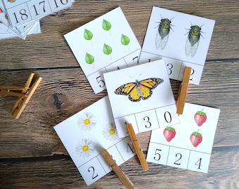 Summer Count & Clip Cards | Homeschool Printable | Math