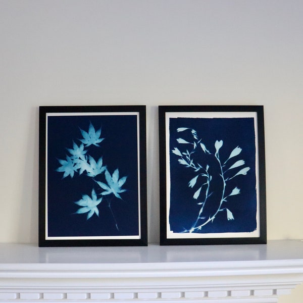 Cyanotype botanical Print Sun print on blue background Japanese Maple Leaves Plantain Lily home decor Original Art Print