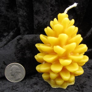 Small Pine Cone Beeswax Candle 100% pure beeswax from my hives Pinecone long lasting clean dripless smokeless  hypoallergenic all natural