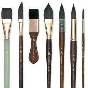 May include: A set of ten paint brushes with wooden handles and black bristles. The brushes are labeled with the brand name "Princeton Neptune" and the size of the brush. The brushes are arranged in a row from smallest to largest.