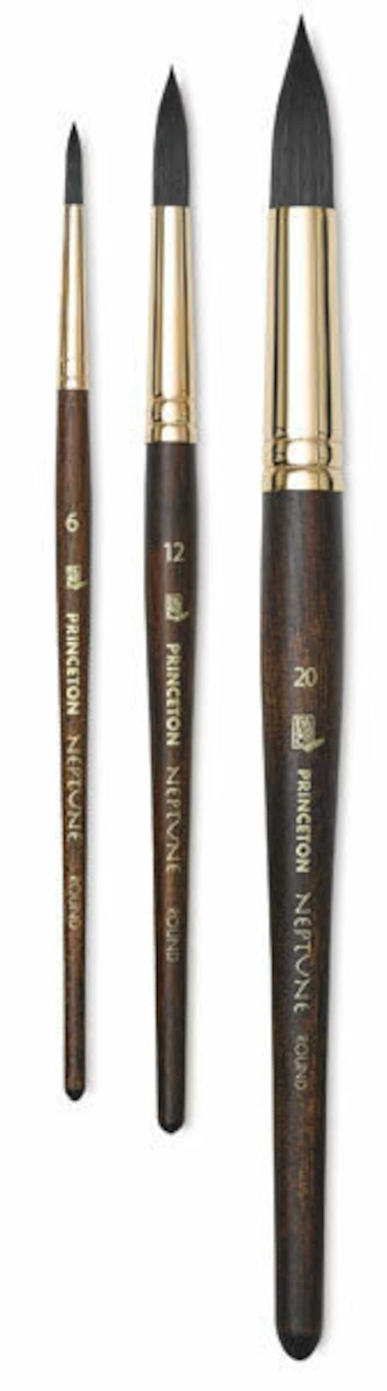 Princeton Neptune Watercolor Brushes for Student Artist Etsy