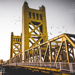 Sacramento Tower Bridge Sunset with Birds (Digital Download)