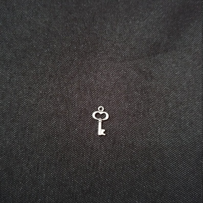 20 Skeleton key charm charm for bracelet heart key