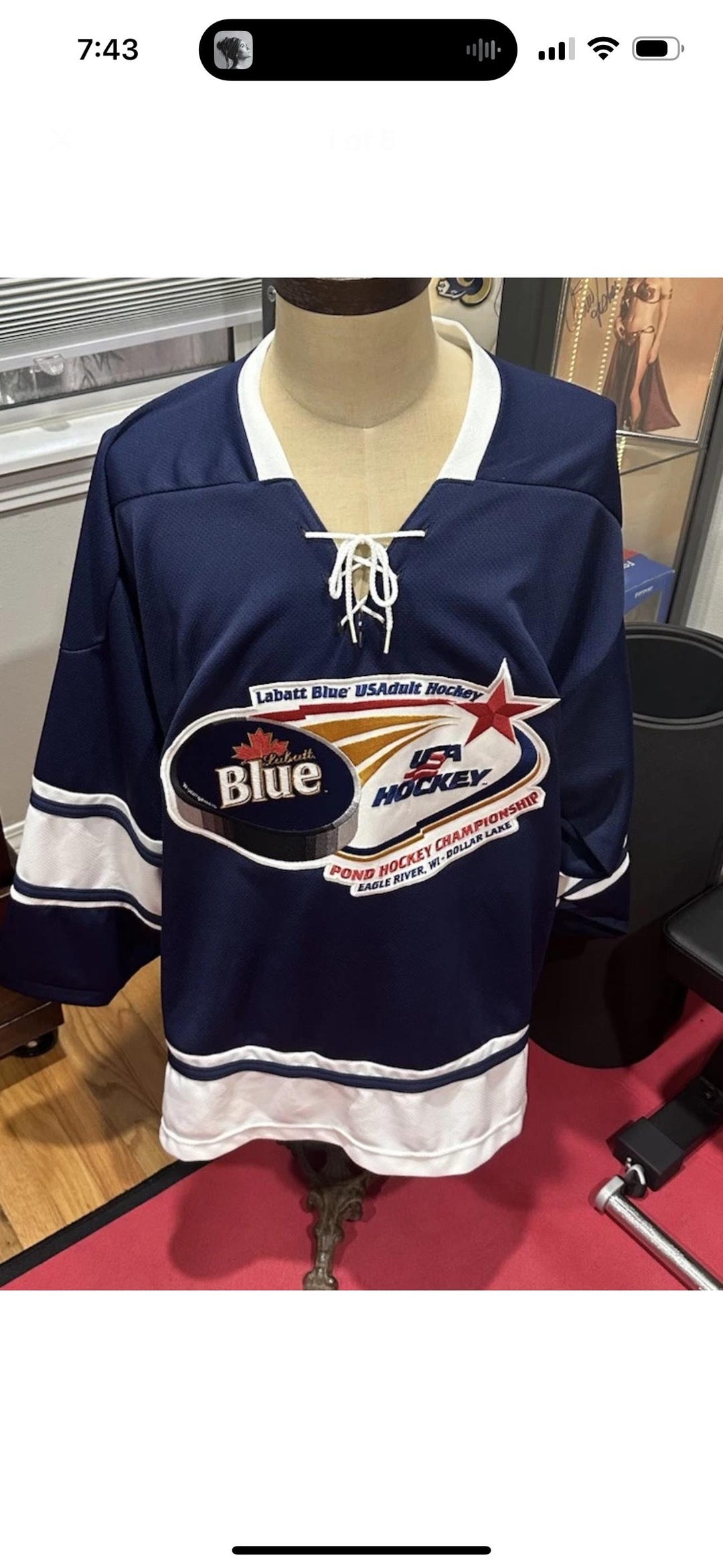 Vintage Labatt Blue USA Hockey Pond Hockey Championship Hockey Jersey ...