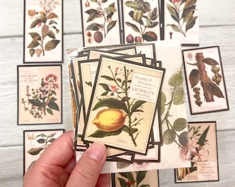Botanical Illustration Stickers