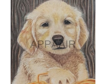 Könnte beinhalten: Ein Nahaufnahmeporträt eines Golden Retriever-Welpen mit einem weichen, hellbraunen Fell. Der Welpe schaut den Betrachter mit großen, braunen Augen direkt an. Die Pfoten des Welpen ruhen auf einem Heuhaufen.