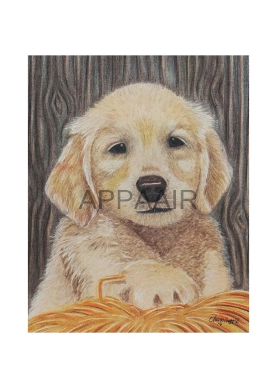 That Cozy Spot Golden Retriever Cute Puppy Dog Puppy Dog Etsy