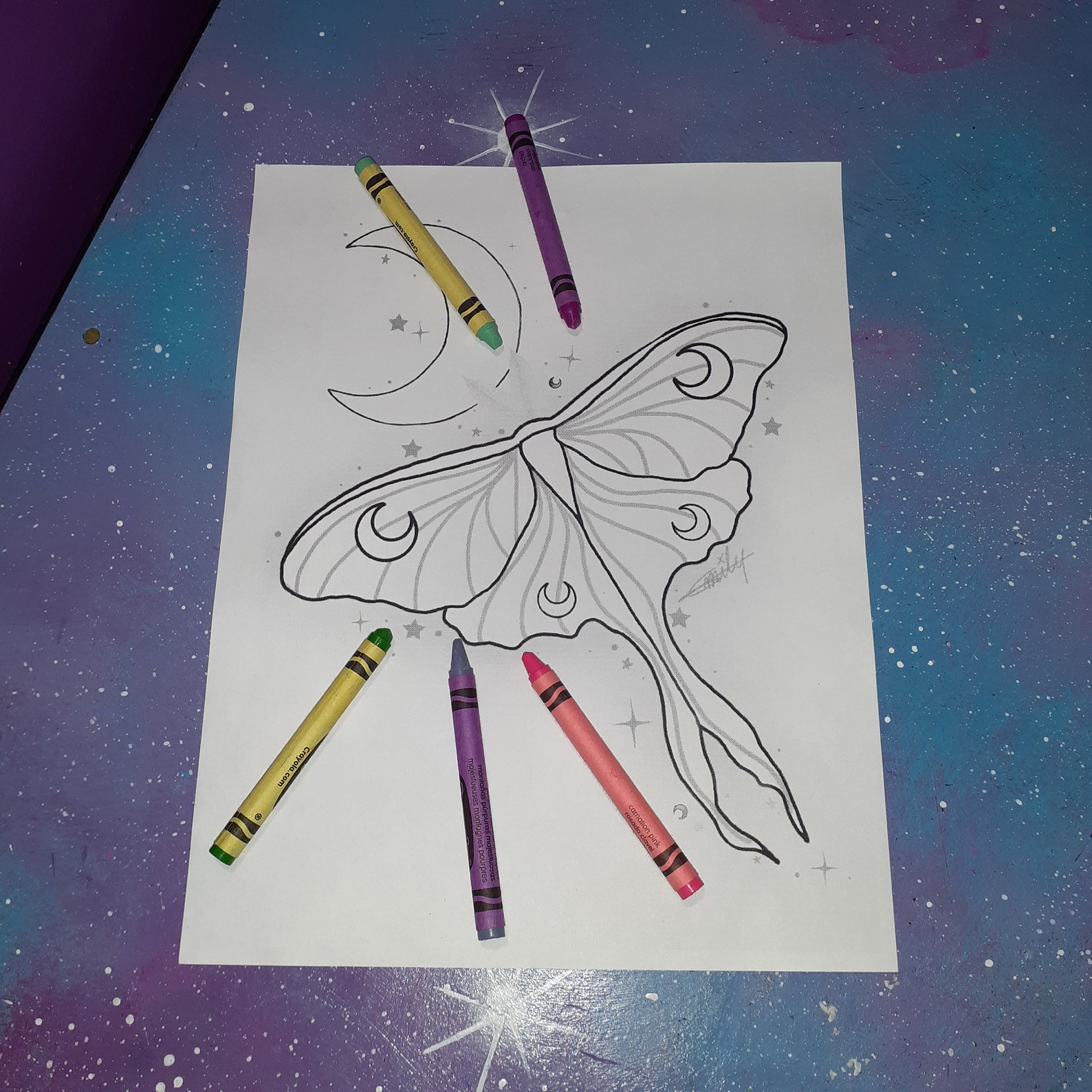 Luna Moth Coloring Page Download / Butterfly Insect Witchy - Etsy