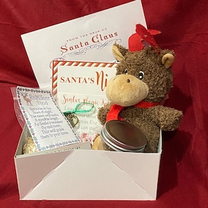 May include: A white gift box with a brown plush reindeer toy, a small jar of reindeer food, and a card that says "Santa's Magic Key". The card has a key charm attached to it.