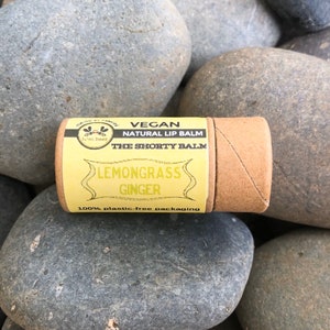 Eco Friendly Lip Balms Vegan Natural Plastic-free packaging Zero waste chapstick Earth friendly sustainable biodegradable organic image 8