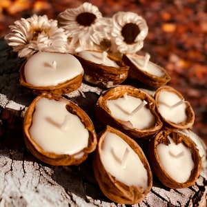 May include: A collection of small, white candles in walnut shells. The candles are arranged on a wooden surface with dried white flowers in the background.