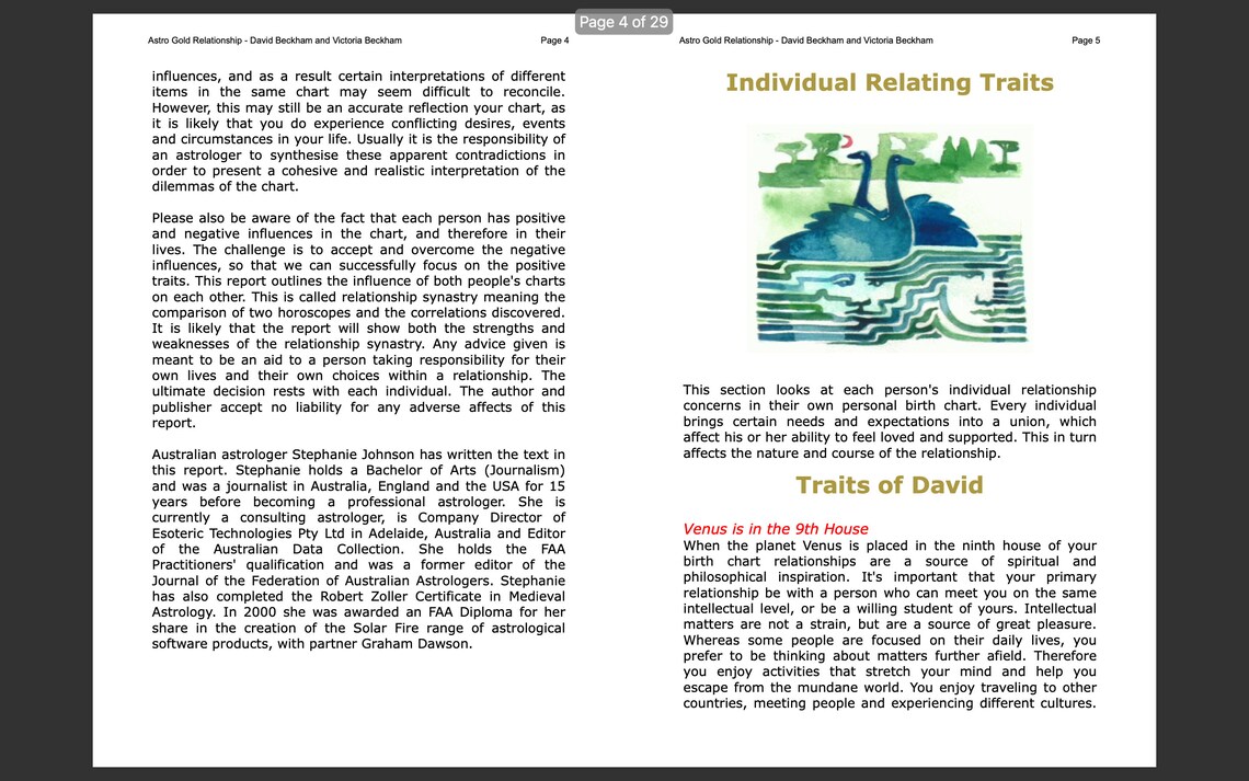Relationships Synastry Report, Relationship Compatibility Chart ...